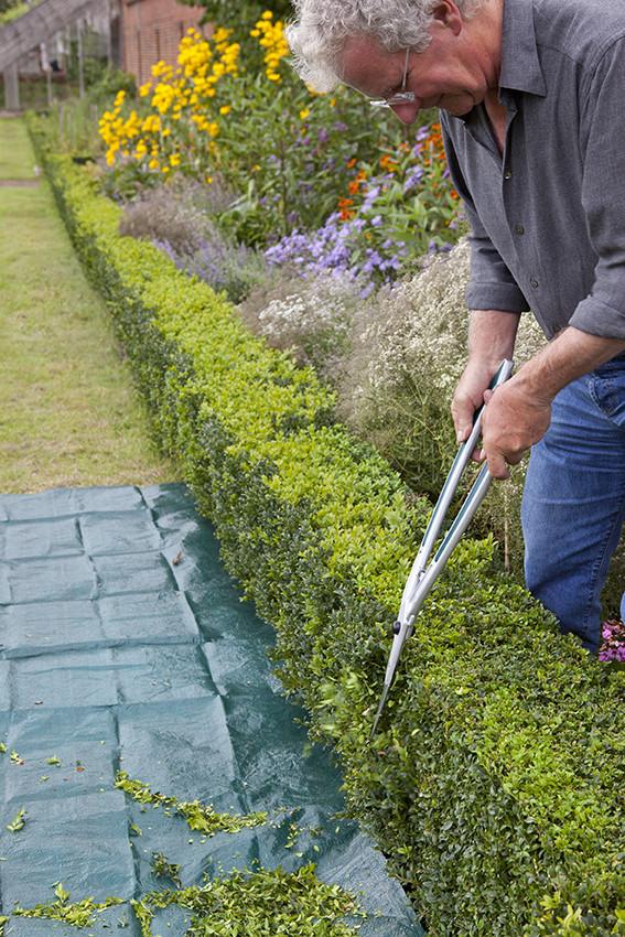 Load image into Gallery viewer, BURGON &amp; BALL | Topiary Hedge Shears in use