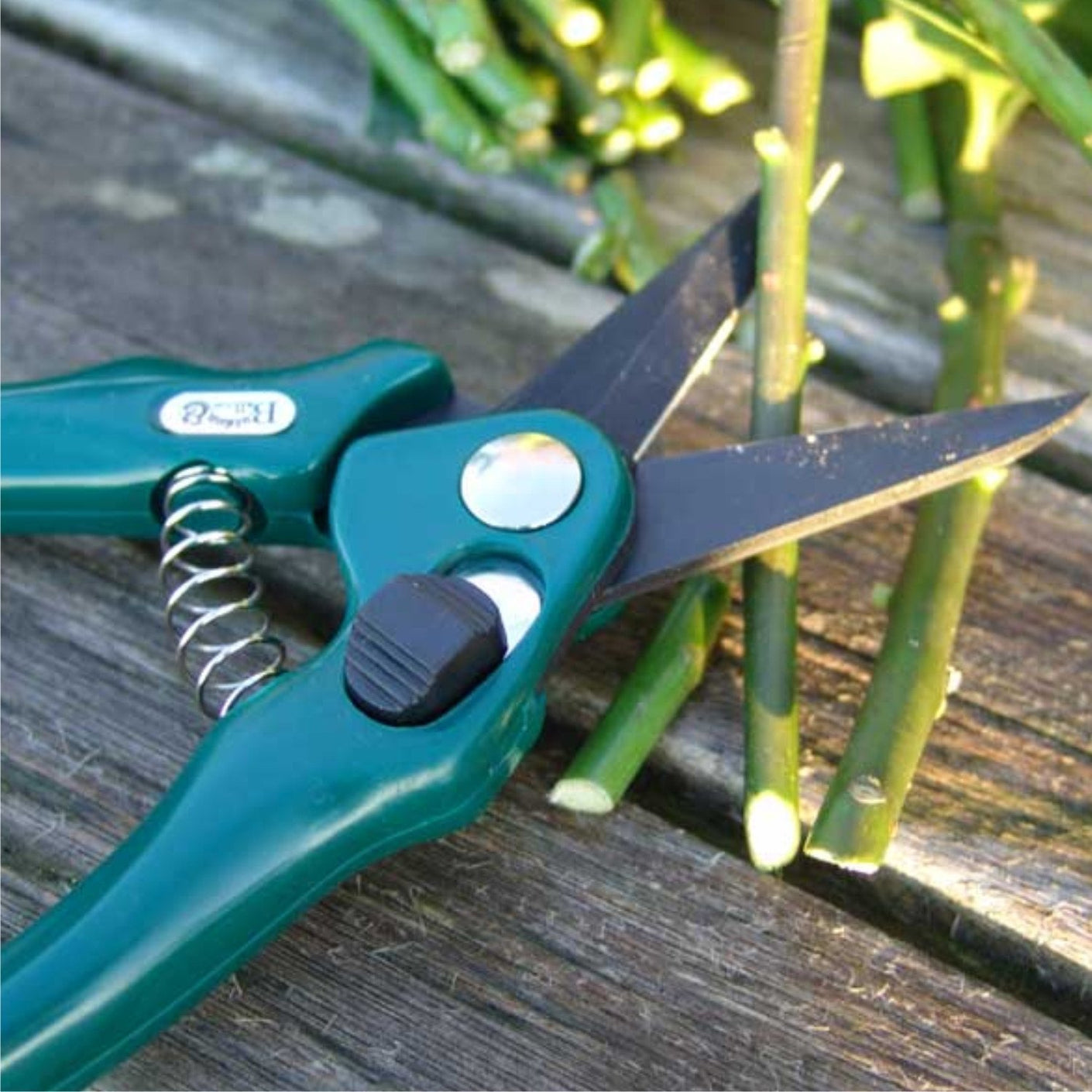 Load image into Gallery viewer, BURGON &amp; BALL Florists Pruning Shears - RHS Endorsed