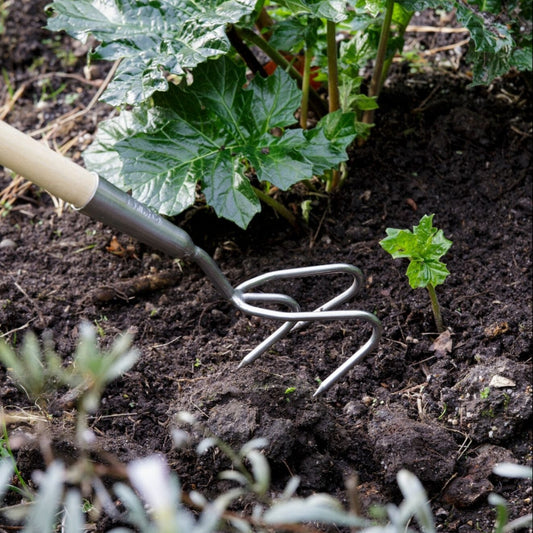 BURGON & BALL Long Handled Claw Cultivator - RHS Endorsed