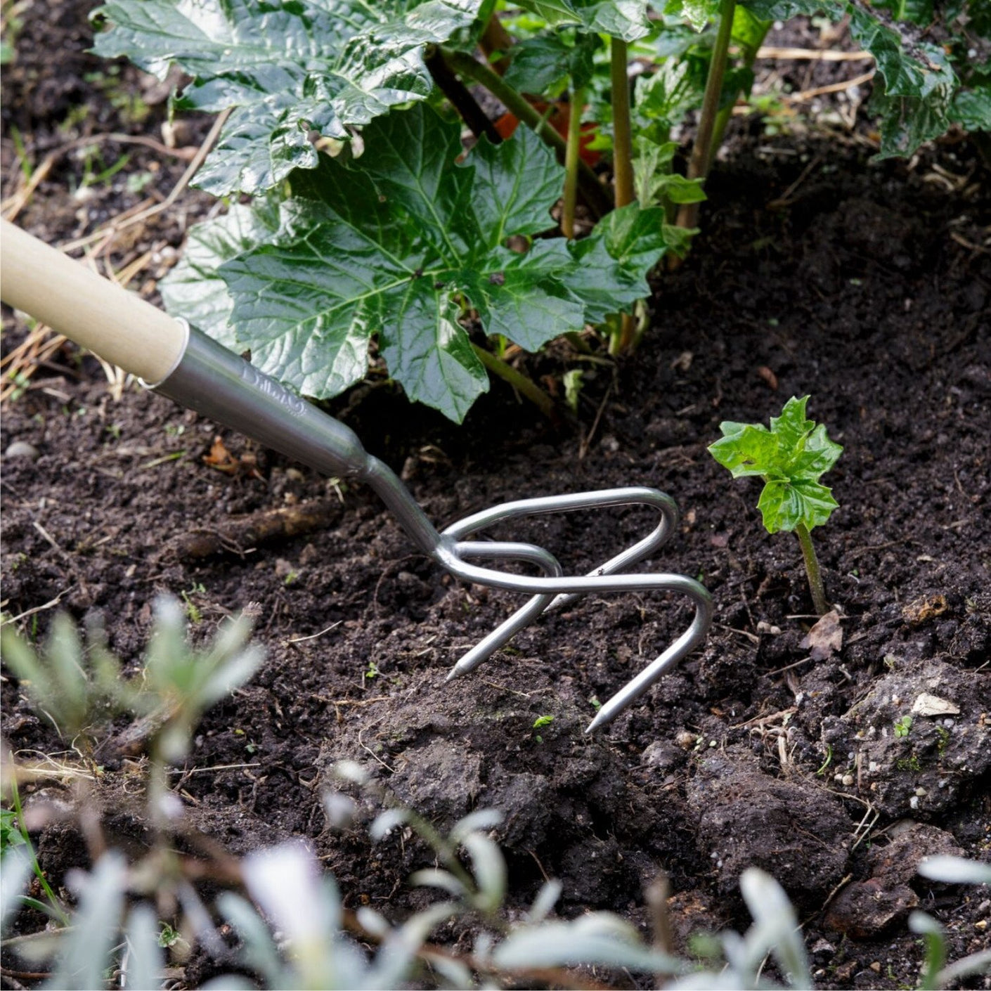 Load image into Gallery viewer, BURGON &amp; BALL  |  Long Handled Claw Cultivator - in use