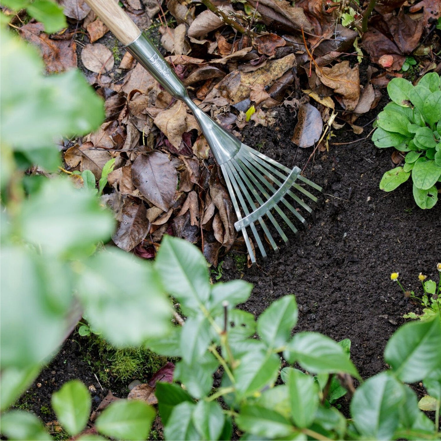 Load image into Gallery viewer, BURGON &amp; BALL  |  Long Handled Shrub Rake - after raking