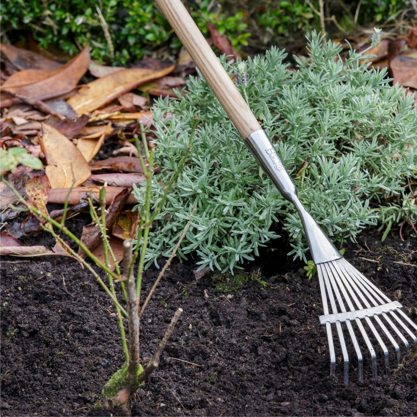 Load image into Gallery viewer, BURGON &amp; BALL  |  Long Handled Shrub Rake - in the garden