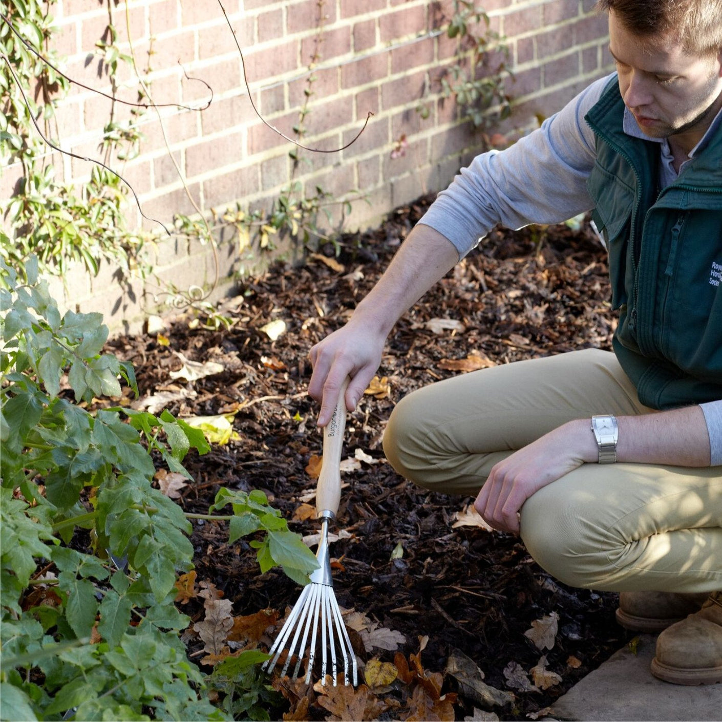 Load image into Gallery viewer, BURGON &amp; BALL | Mid Handled Shrub Rake - in use