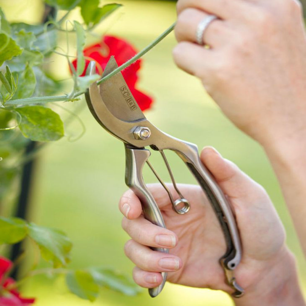 Load image into Gallery viewer, SOPHIE CONRAN Tool Set - The Gardener&#39;s Secateur Set