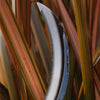 BURGON & BALL Herbaceous Sickle **Limited Stock**