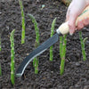 BURGON & BALL | Ultimate Asparagus Knife in use