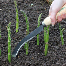 Load image into Gallery viewer, BURGON &amp; BALL Ultimate Asparagus Knife