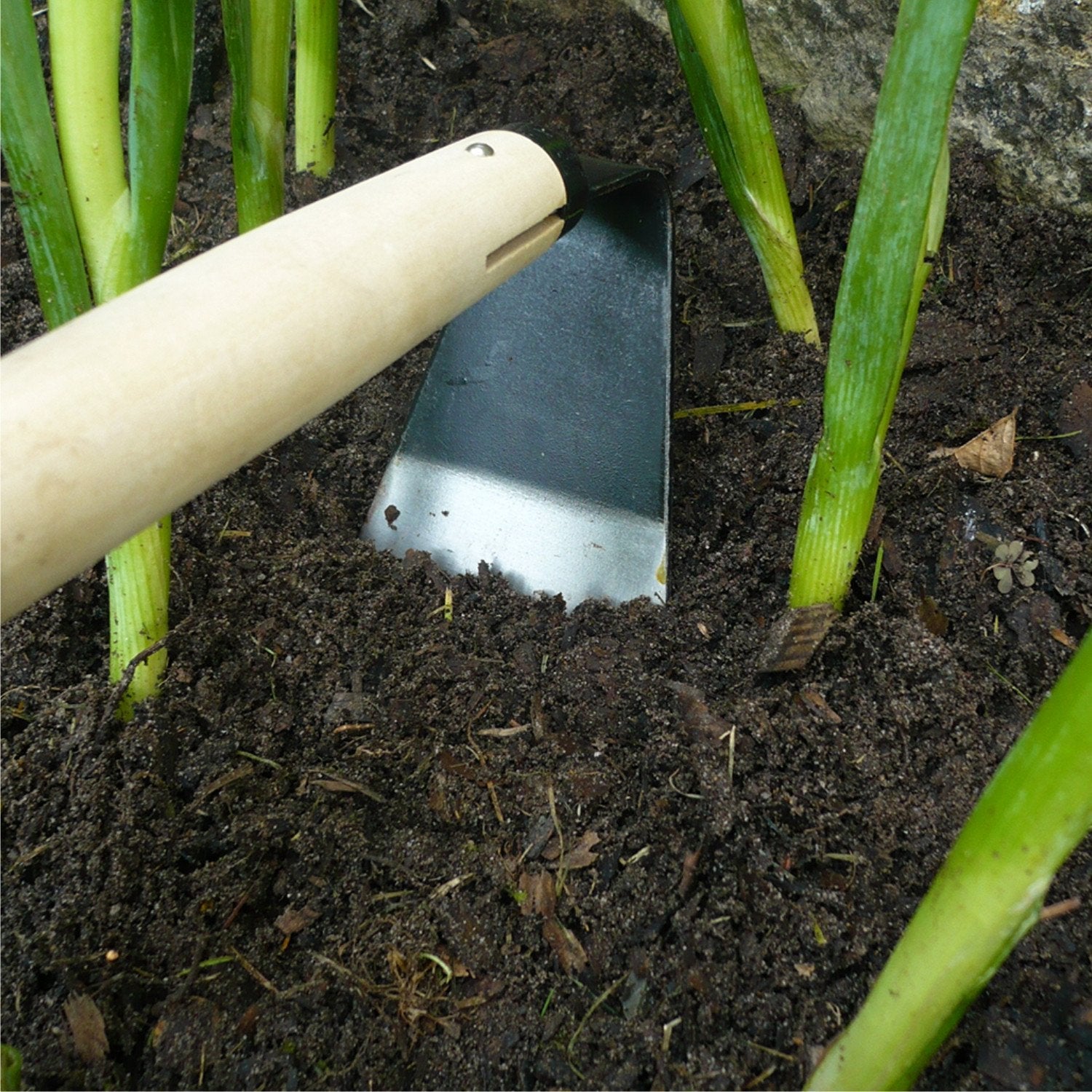BURGON & BALL | Vegetable Hoe in use