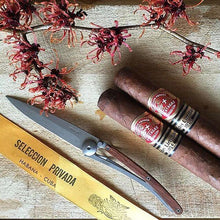 Load image into Gallery viewer, DEEJO KNIFE | Classic Wood 27g - Rosewood displayed