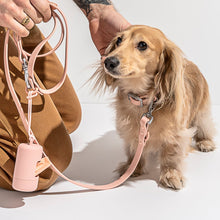 Load image into Gallery viewer, WILD ONE Dog Collar Walk Kit - Blush