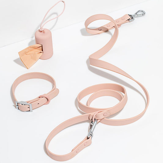 WILD ONE Dog Collar Walk Kit - Blush