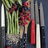 OPINEL N125 'Bon Appetit' Table Knife 4 Piece Set (Loft)