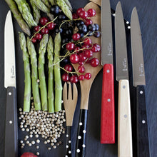 Load image into Gallery viewer, OPINEL N°125 &#39;Bon Appetit&#39; Table Knife 4 Piece Set (Loft)