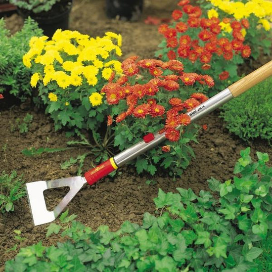 Using WOLF GARTEN Multi-change Dutch Hoe in the garden