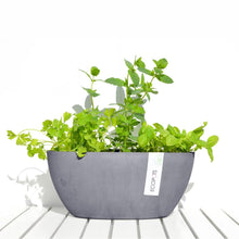 Load image into Gallery viewer, ECOPOTS Sofia Plant Pot - Blue Grey
