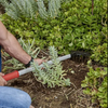 CORONA Extended Reach ComfortGEL 7-Tine Rake