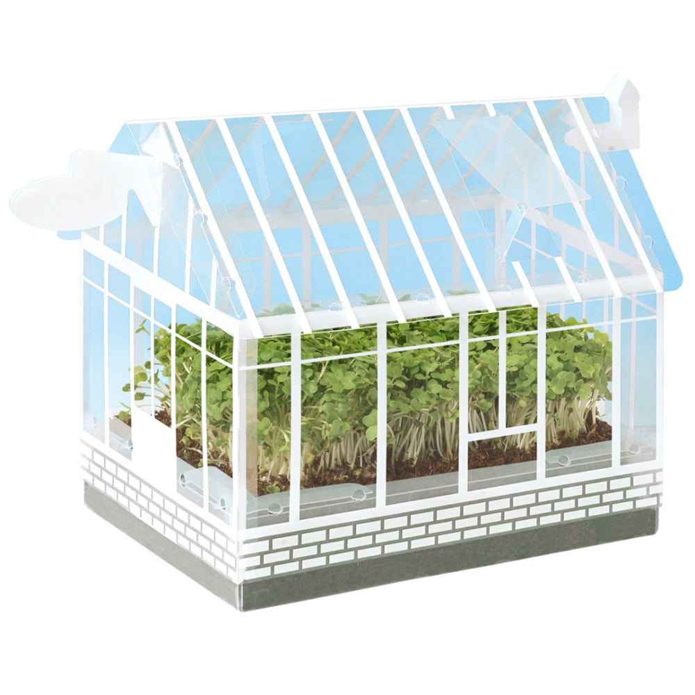 Load image into Gallery viewer, MR FOTHERGILLS Little Gardeners Mini Greenhouse Kit