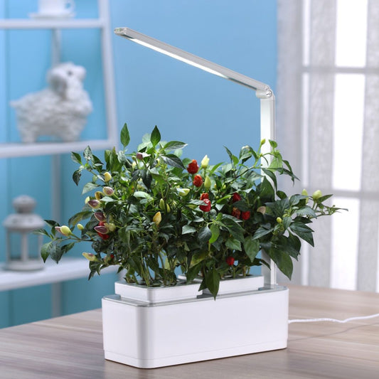 MR FOTHERGILLS HydroGarden All-In-One Grow Kit