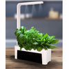 MR FOTHERGILLS HydroGarden Elite All-In-One Grow Kit