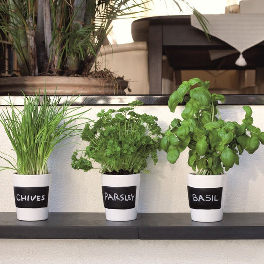 MR FOTHERGILLS Kitchen Herb Planter Kit