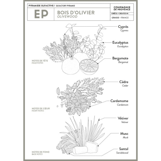 COMPAGNIE DE PROVENCE Extra Pur Liquid Soap 500ml - Olive Wood