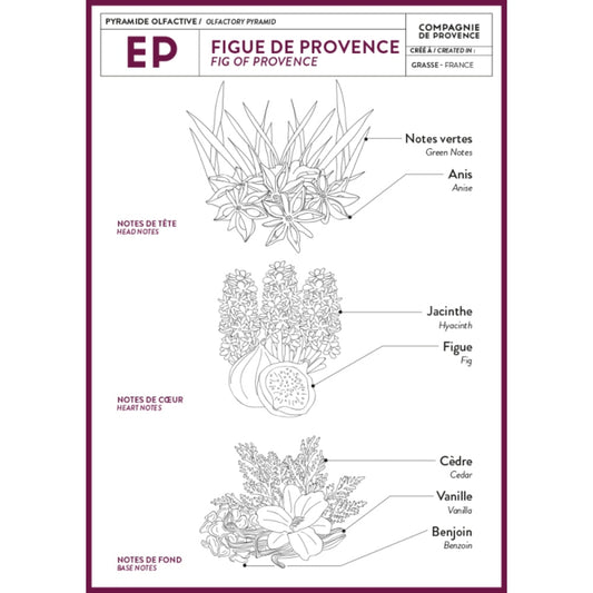 COMPAGNIE DE PROVENCE Extra Pur Hand Cream, 100mL - Fig of Provence