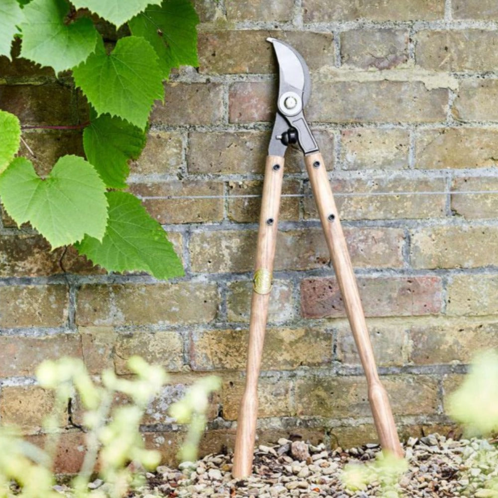 SOPHIE CONRAN Lopper