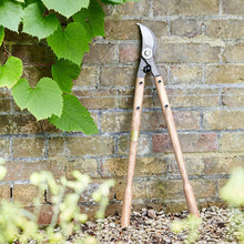 Load image into Gallery viewer, SOPHIE CONRAN Tool Set - The Gardener&#39;s Ultimate Long Tool Collection