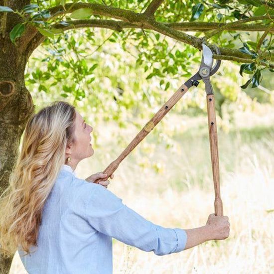 SOPHIE CONRAN Lopper