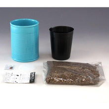 Load image into Gallery viewer, PLANTS CAN Ceramic Herb Kit - Cool Mint
