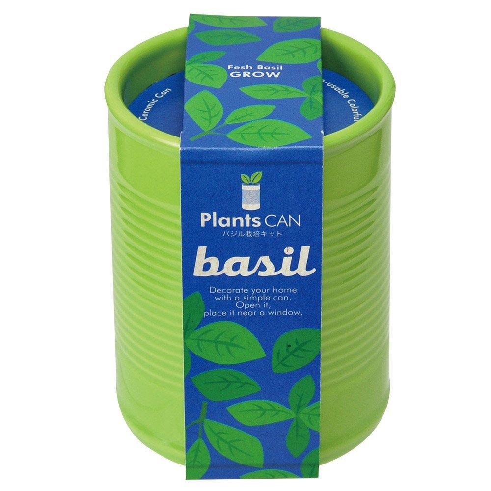 PLANTS CAN Ceramic Herb Kit - Green Basil