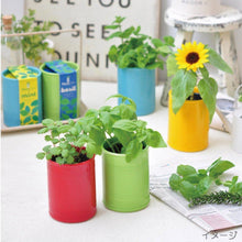 Load image into Gallery viewer, PLANTS CAN Ceramic Herb Kit - Green Basil