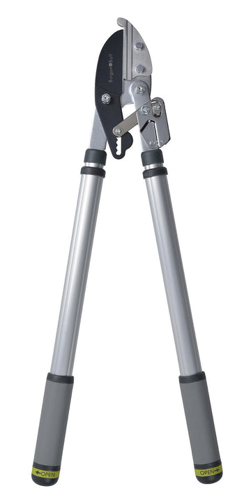 BURGON & BALL  |  Telescopic Ratchet Lopper - RHS Endorsed