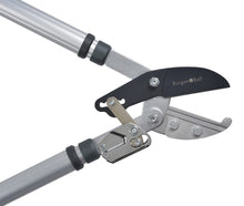 Load image into Gallery viewer, BURGON &amp; BALL Telescopic Ratchet Tree Lopper - RHS Endorsed