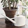 SOPHIE CONRAN Greenhouse & Indoor Watering Can - Buttermilk Cream