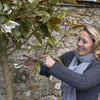 SOPHIE CONRAN Garden Plant Secateurs in Gift Box