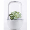 MR FOTHERGILLS Grow Pod