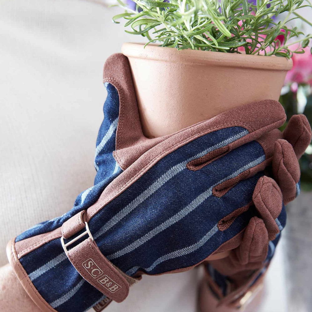 Load image into Gallery viewer, SOPHIE CONRAN Gloves - Ticking Stripe Blue