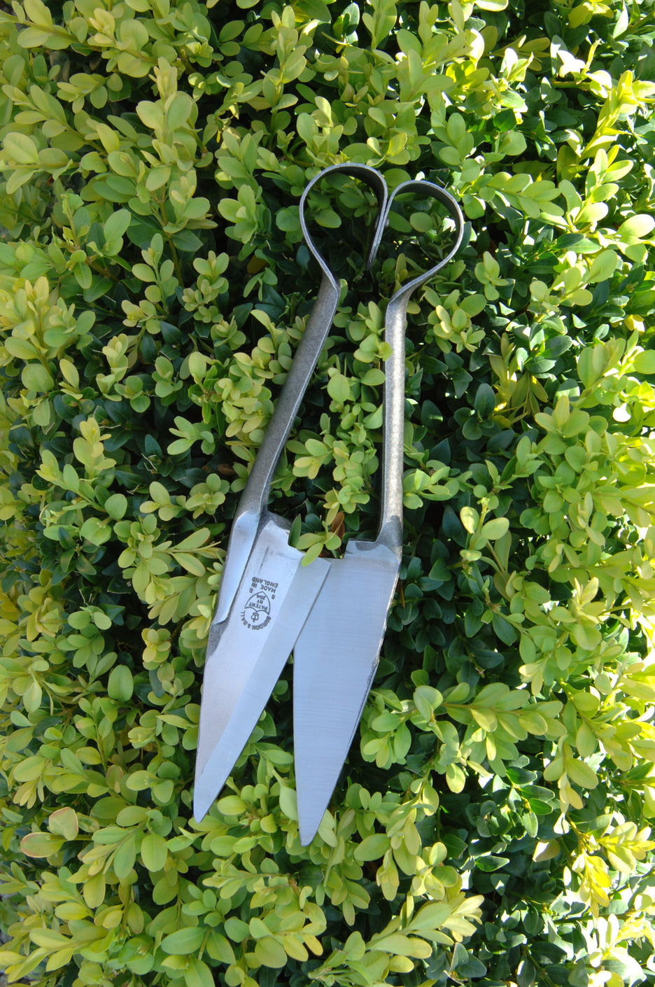 Load image into Gallery viewer, BURGON &amp; BALL | Professional Soft Squeeze Shears featured