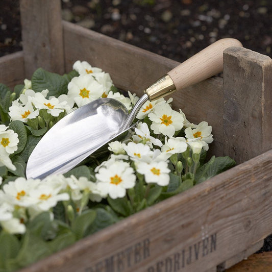 SOPHIE CONRAN Trowel on flower bed
