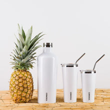 Load image into Gallery viewer, CORKCICLE Tumbler Straw 2pk- Stainless **CLEARANCE**