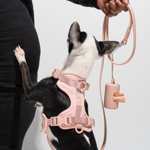 Load image into Gallery viewer, WILD ONE Dog Harness Walk Kit - Blush