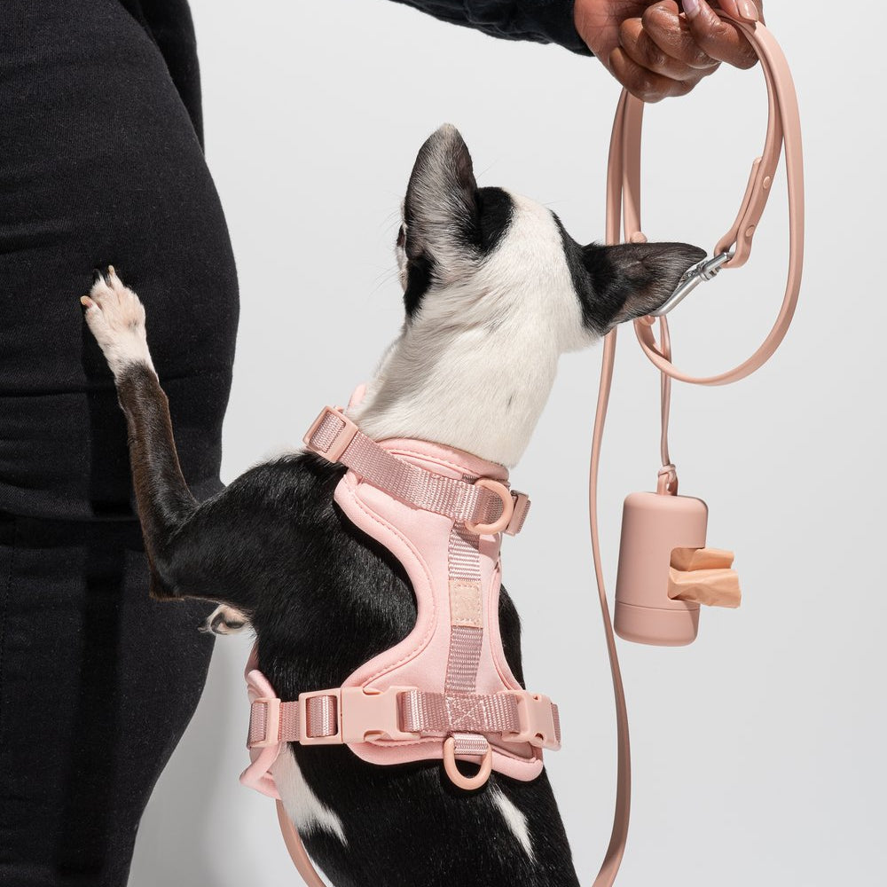 WILD ONE Dog Harness Walk Kit Blush - Main Image