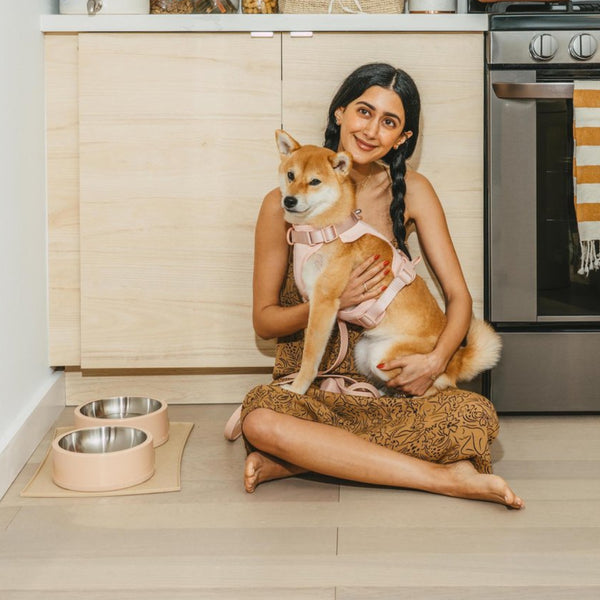 Set of 3 - Large Harness