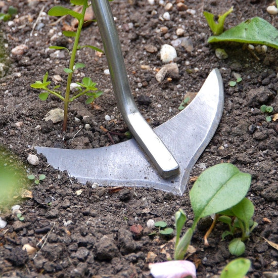 BURGON & BALL | Weed Slice - long handled featured