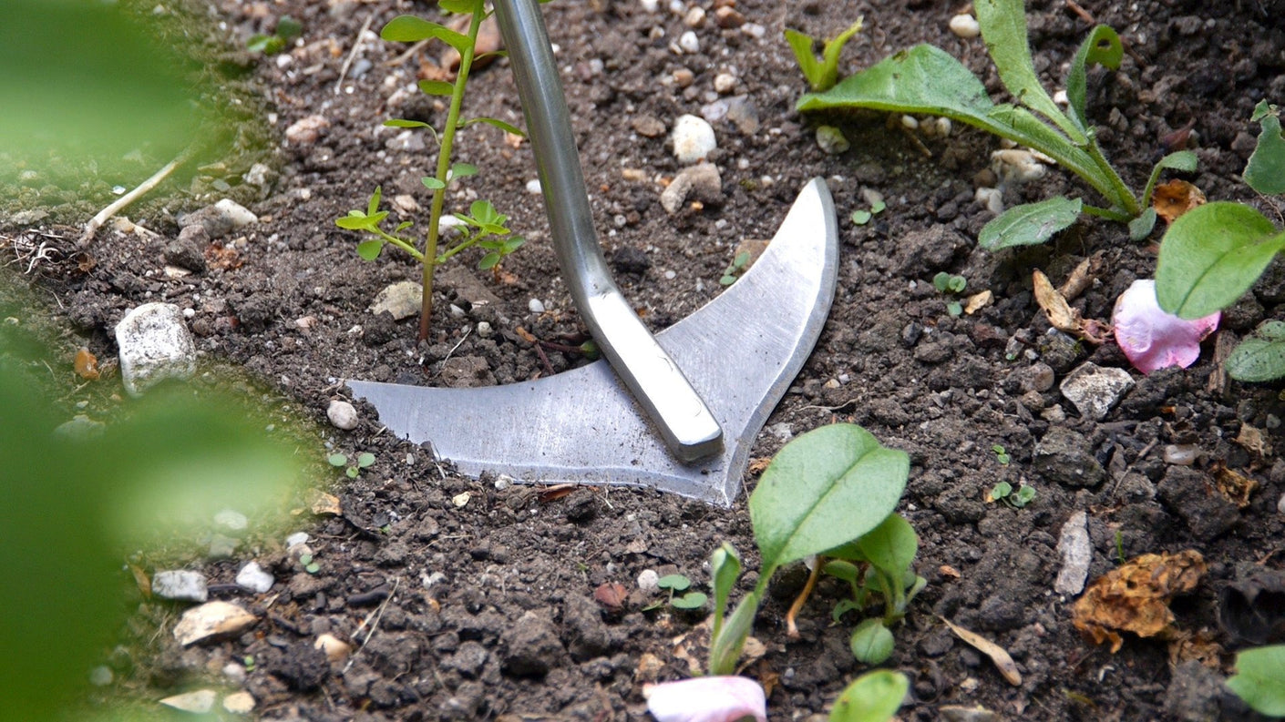 Load image into Gallery viewer, BURGON &amp; BALL Garden Weed Slice - Short Handled