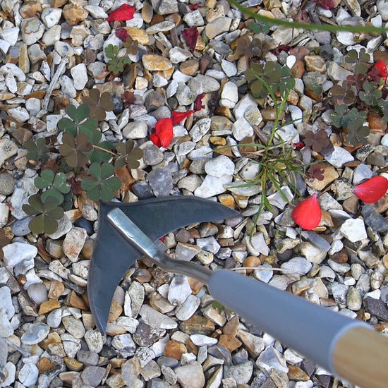 BURGON & BALL | Weed Slice - Short Handled in action