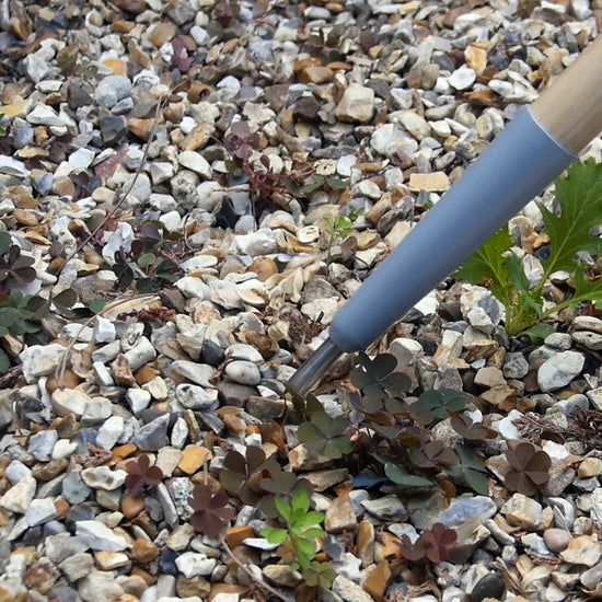 BURGON & BALL | Weed Slice - Short Handled in use