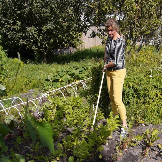 BURGON & BALL | Weed Slice - long handled in the garden
